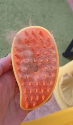 Customer photo review of Steamy™ Dampf-Bürste