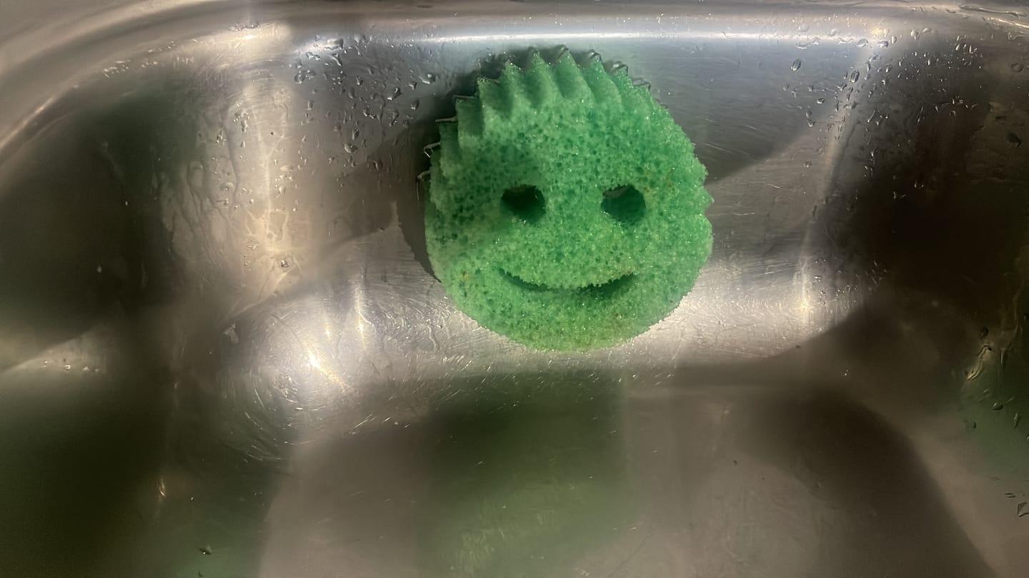 Customer photo review of Scrub Daddy 3 Pack
