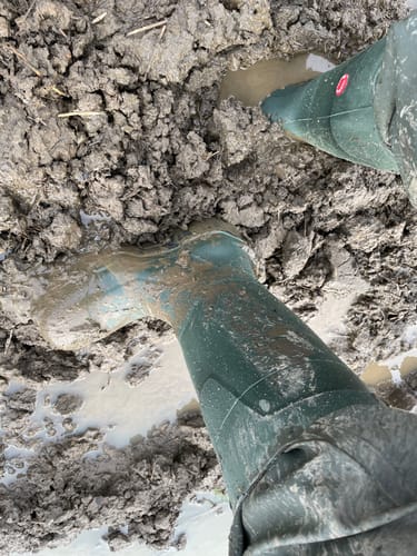 Customer photo review of FieldPro Thermo+ Safety Wellington