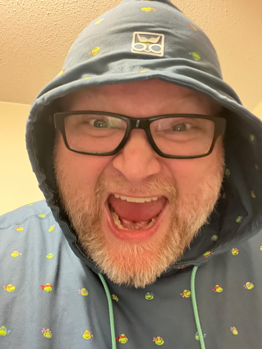 Customer photo review of Teenage Mutant Ninja Turtles "Lil Turts" – Performance Hoodie