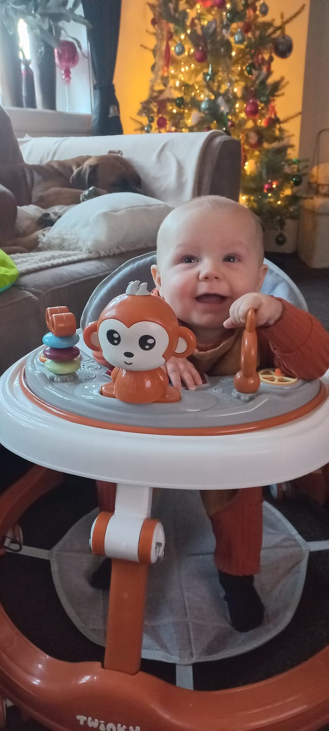 Customer photo review of Twinky Loopstoel Baby - Brown