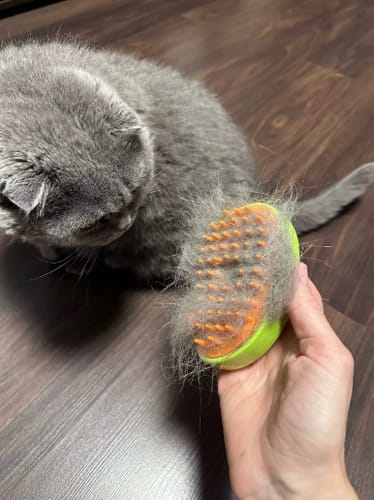 Customer photo review of Steamy™ Dampf-Bürste