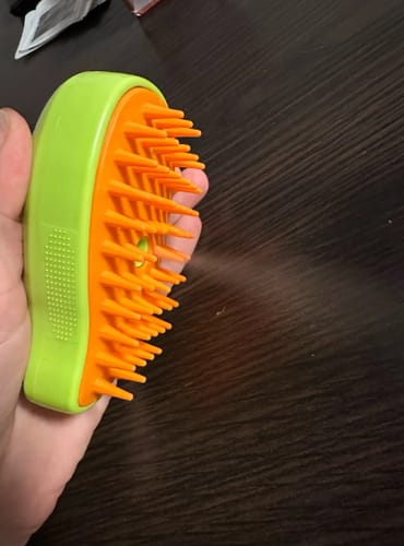 Customer photo review of Steamy™ Dampf-Bürste