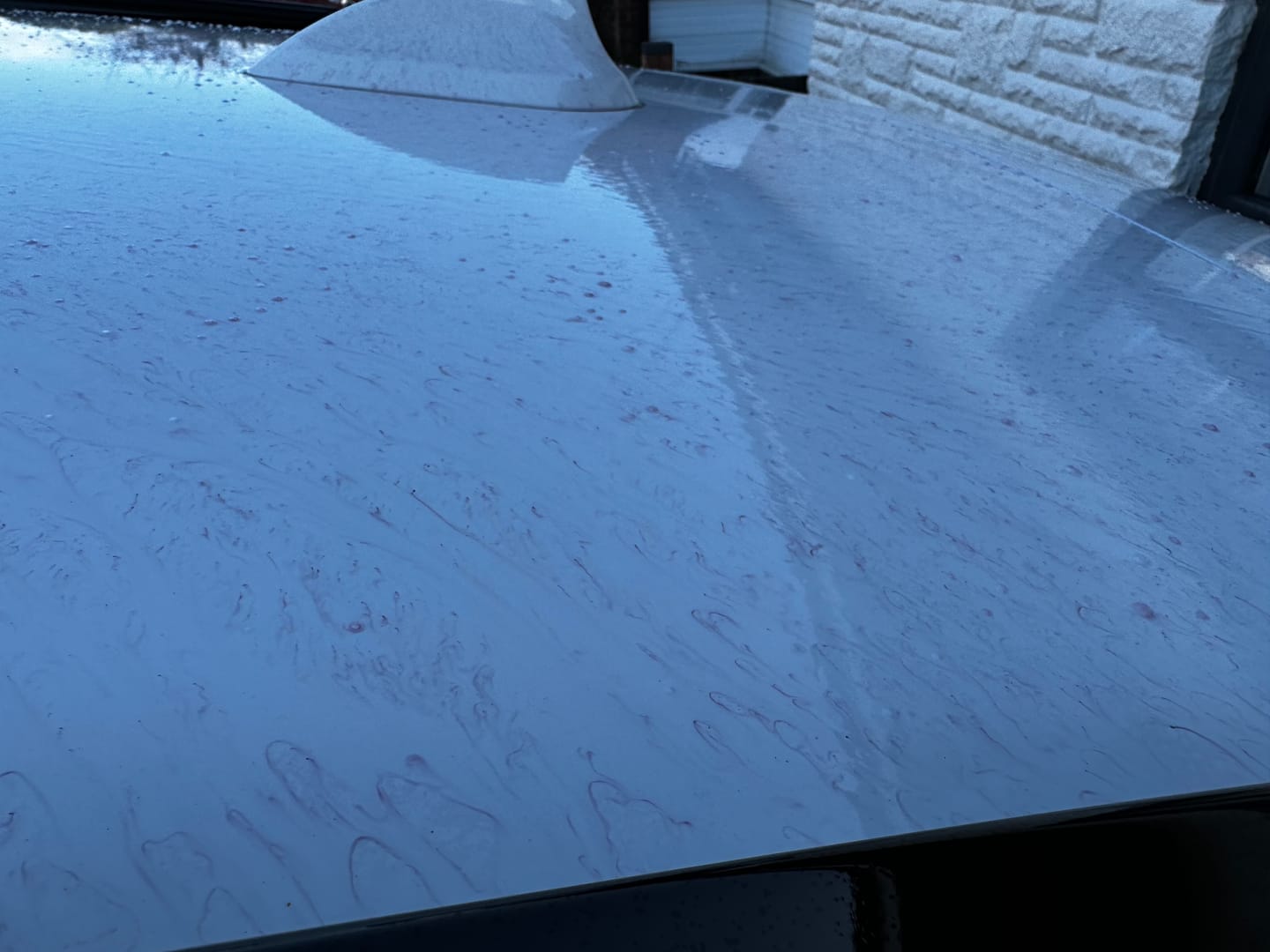 Customer photo review of AURORA - ADVANCED FALLOUT REMOVER