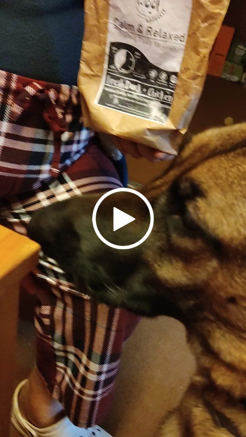 Customer video review of Calm & Relaxed Training Treats