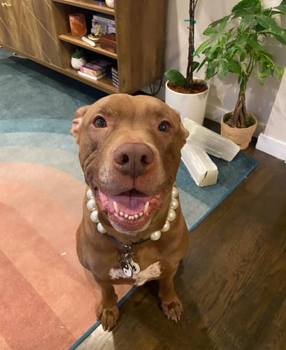 Customer photo review of White