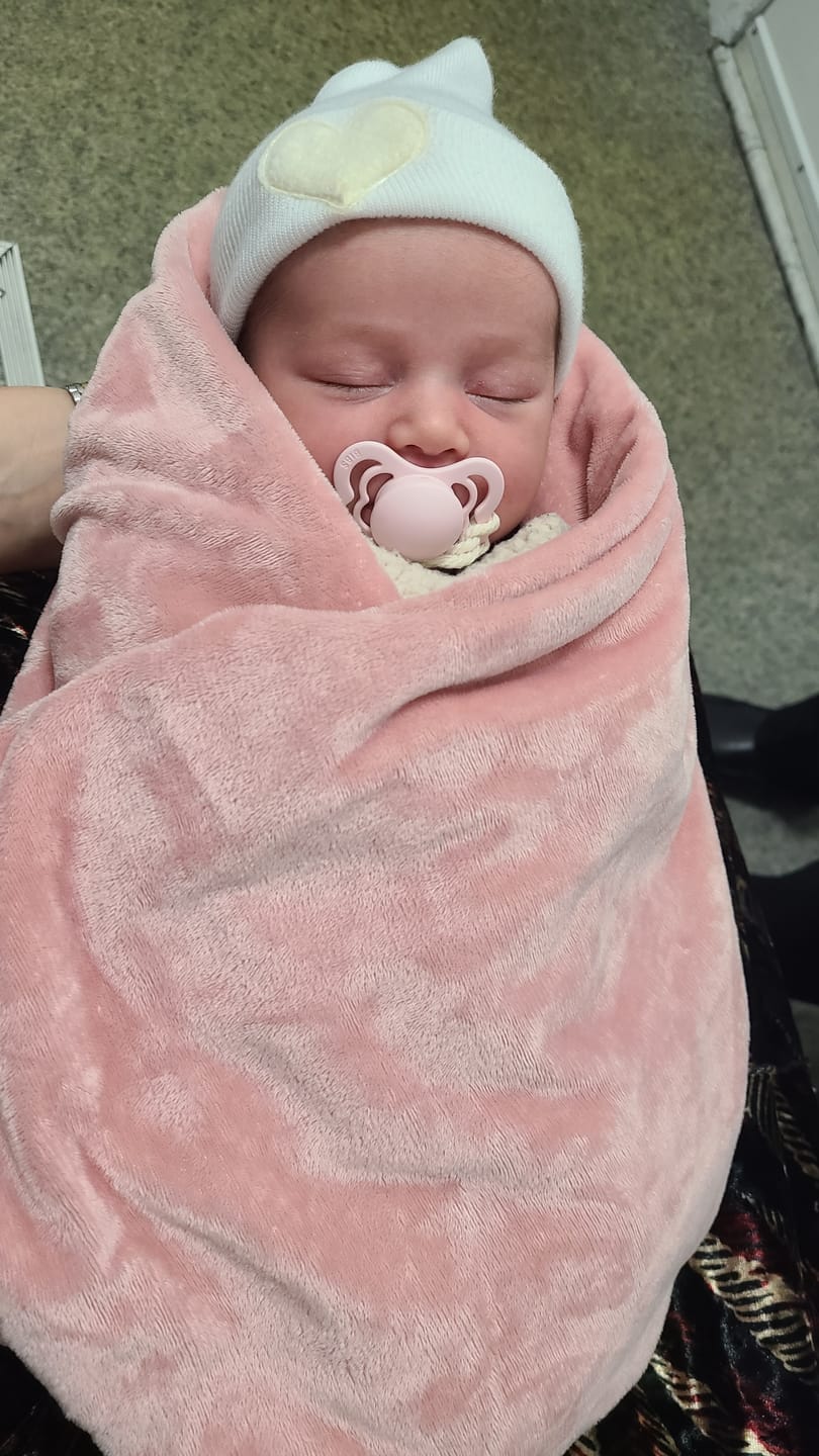 Customer photo review of MinkyBee Stroller Blanket ~ Dusty Pink