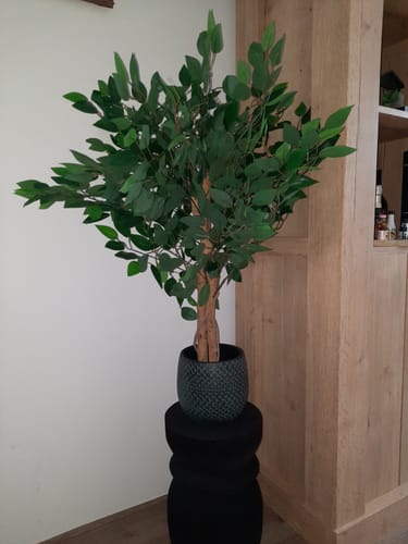 Customer photo review of Ficus Kunstboom 90cm