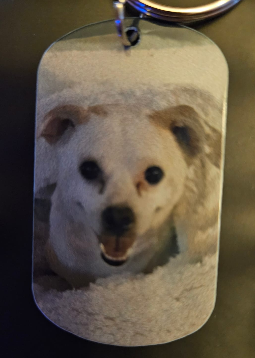 Customer photo review of Voor altijd in mijn hart  - Gepersonaliseerde Dog Tag Sleutelhanger