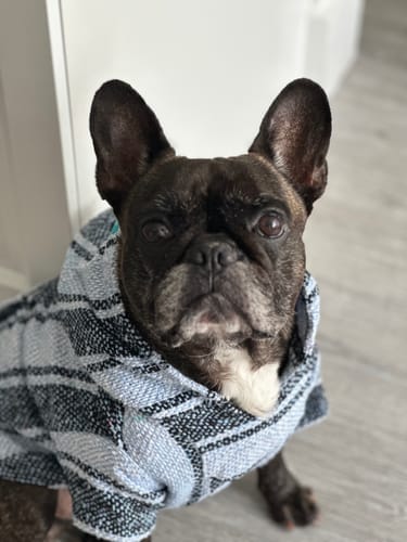 Customer photo review of Playa Poncho - Surprise Color