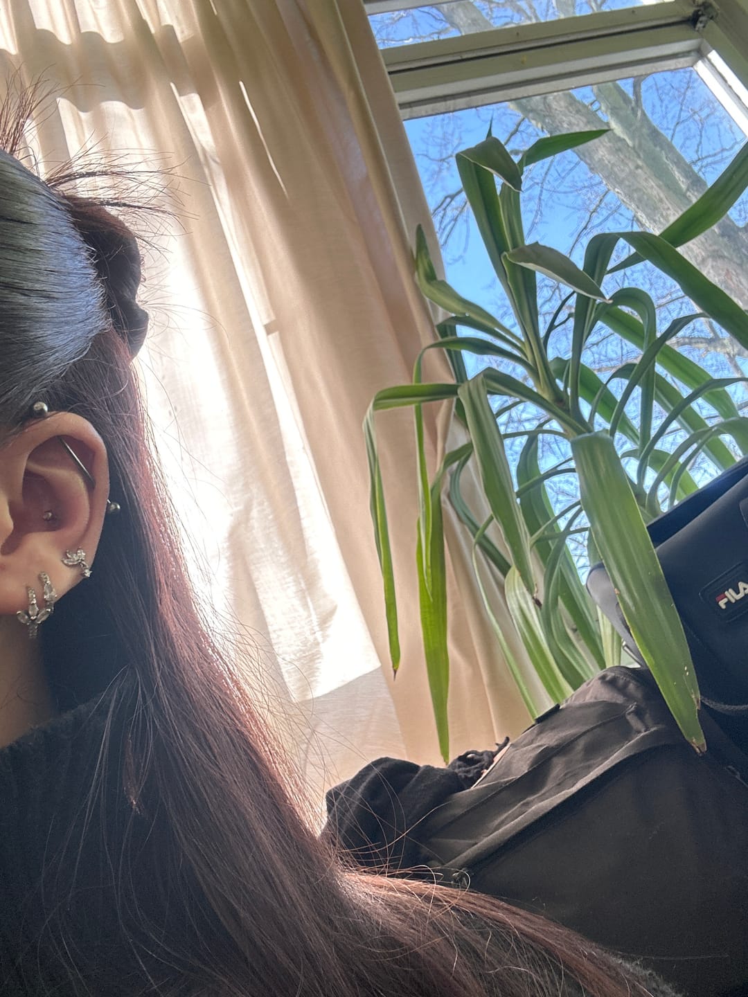 Customer photo review of Cataleya 2 Ohrstecker | 18K vergoldet