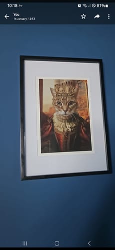 Customer photo review of The Fearless Queen - Custom Pet Portrait
