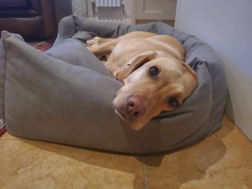 Customer photo review of The Slumber Tray Bed - Oxford Grey