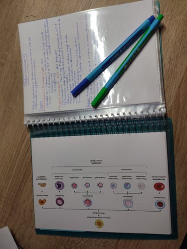 Avis photo d'un client sur OXFORD Protège-Documents à spirale School Life A5 # 80 vues / 40 pochettes - Bleu