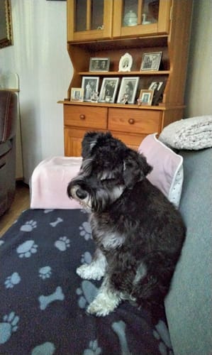 Customer photo review of Lederlook met bot - Gepersonaliseerde draagtas