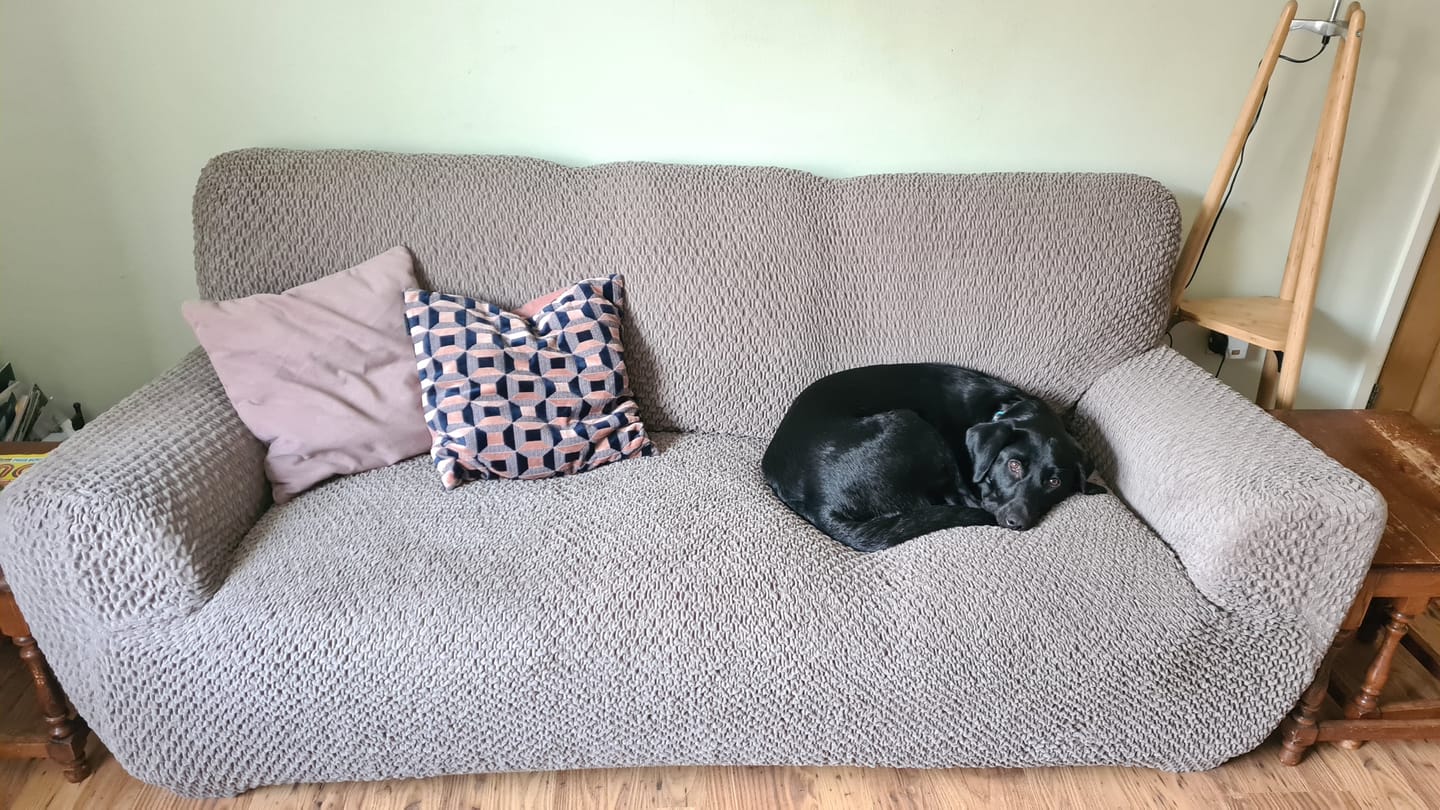 Customer photo review of 3 Seater Sofa Cover - Brown, Velvet Collection