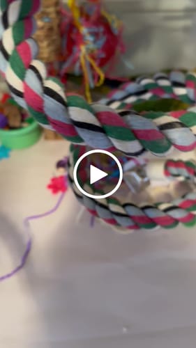 Customer video review of 2249 Small Party Take-A-Way