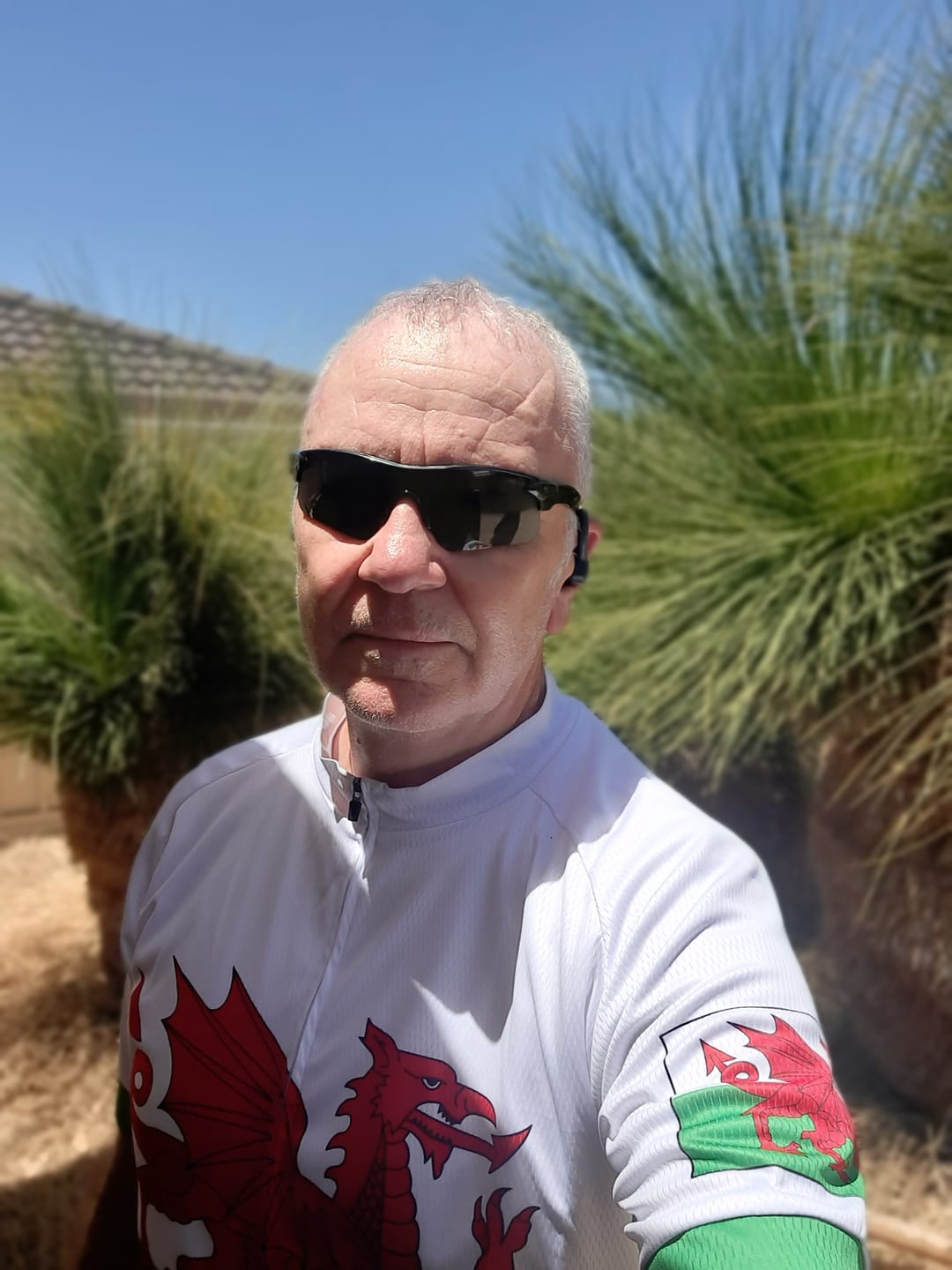 Customer photo review of Wales Flag Cycling Jersey (Green, White & Red)