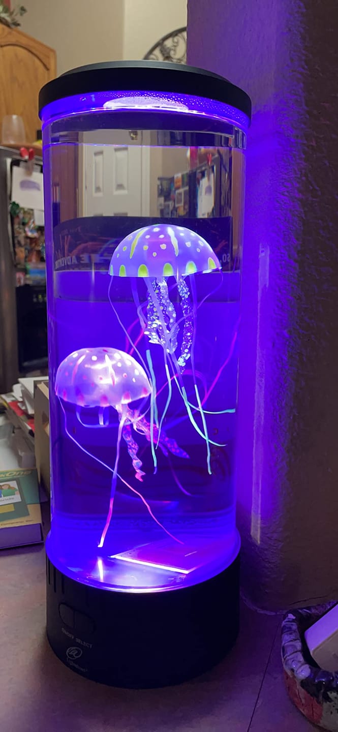 Customer photo review of Classic JellyFish Lamp