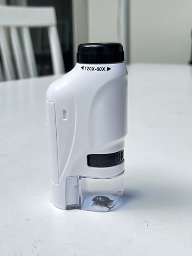 Customer photo review of The WonderScope