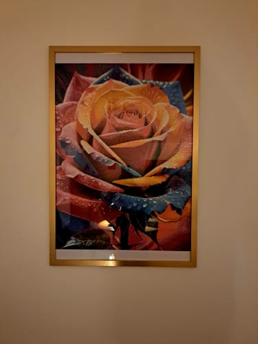 Customer photo review of 5D Diamond Painting AB Steine Rainbow Rose