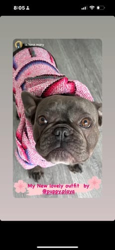 Customer photo review of Playa Poncho - Surprise Color