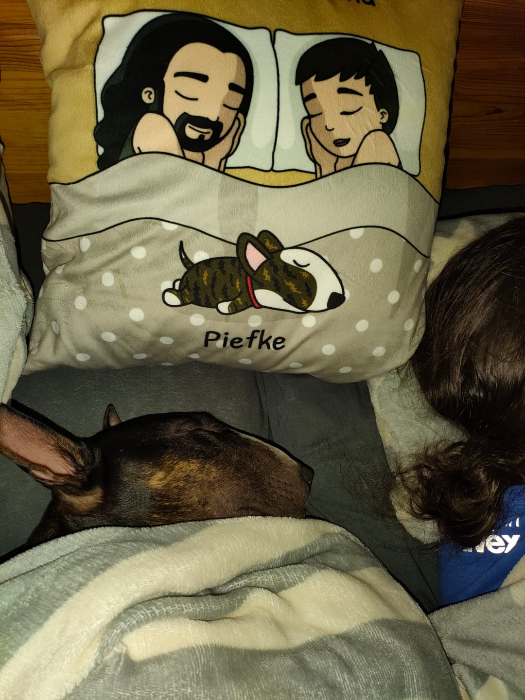 Customer photo review of Kuschelzeit mit Fellnasen - Individuelles Kissen