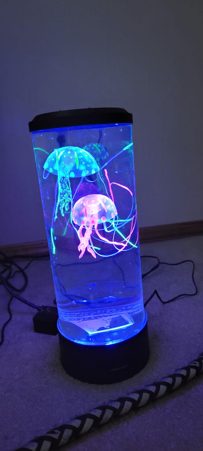 Customer photo review of Classic JellyFish Lamp