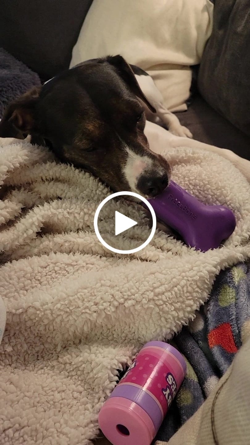 Customer video review of Bone Refills Dog Meat 90 Grams (4 Pack)®