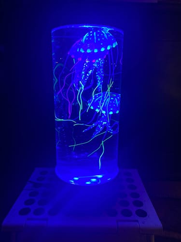 Customer photo review of Classic JellyFish Lamp