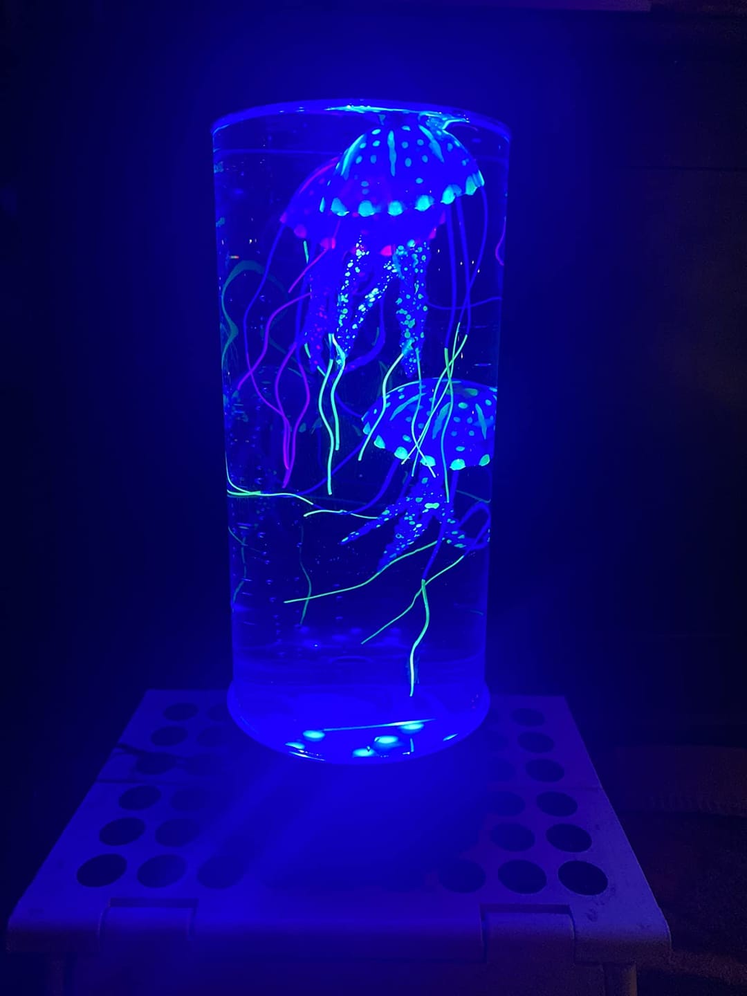Customer photo review of Classic JellyFish Lamp