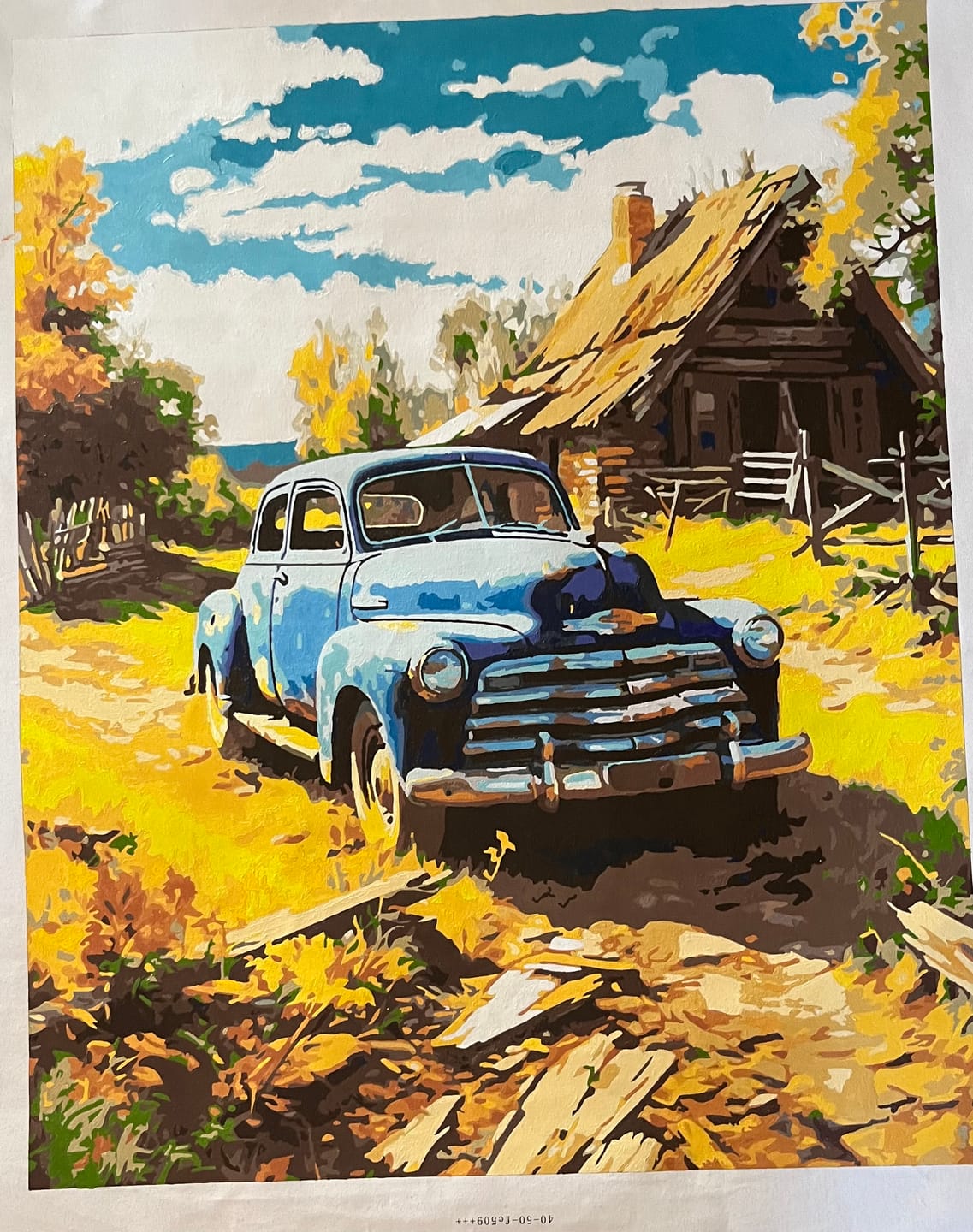 Customer photo review of Rustic Farm Car