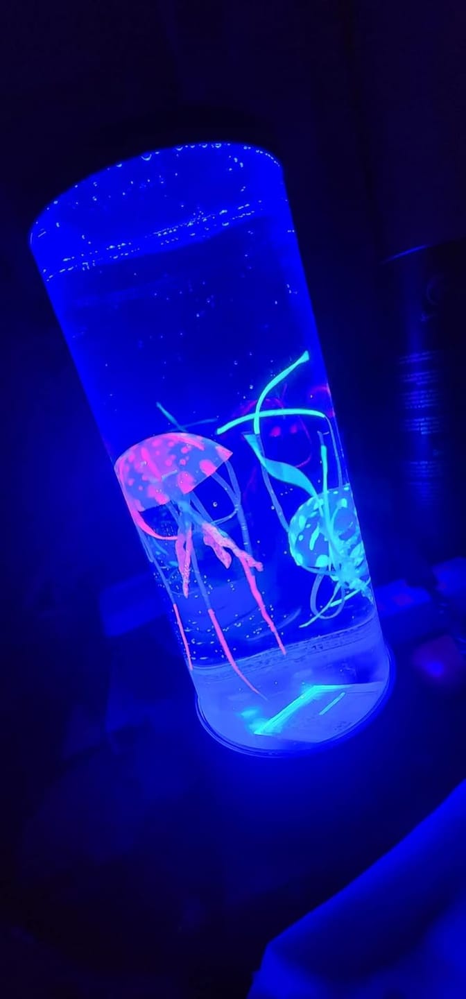 Customer photo review of Classic JellyFish Lamp