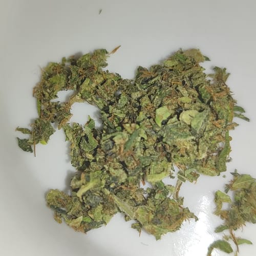 Customer photo review of HHC Blütenmix 20g