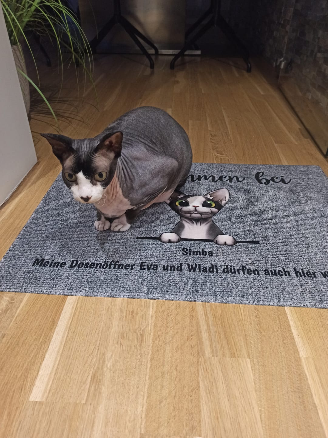 Customer photo review of Willkommen bei neugierigen Katzen - Individuelle Fußmatte