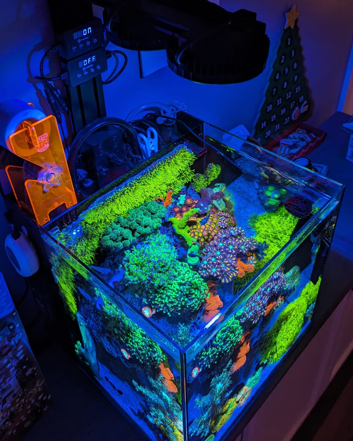 Customer photo review of Pixel LED Bundle