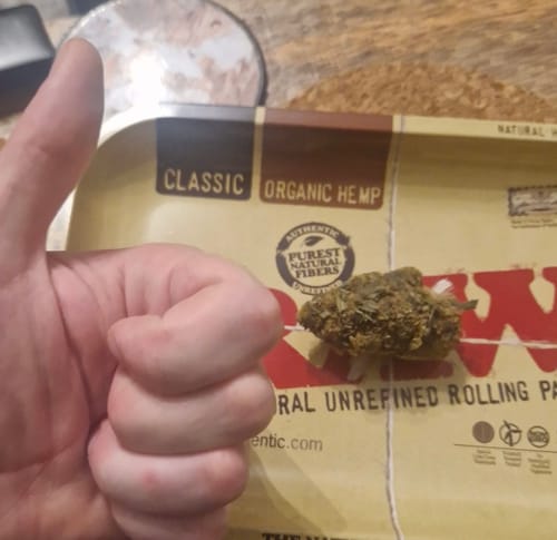 Customer photo review of 🍊 Tangie 32% HHC