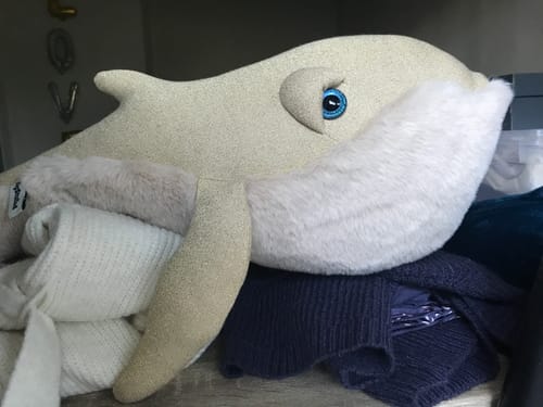 Customer photo review of The Gold Whale