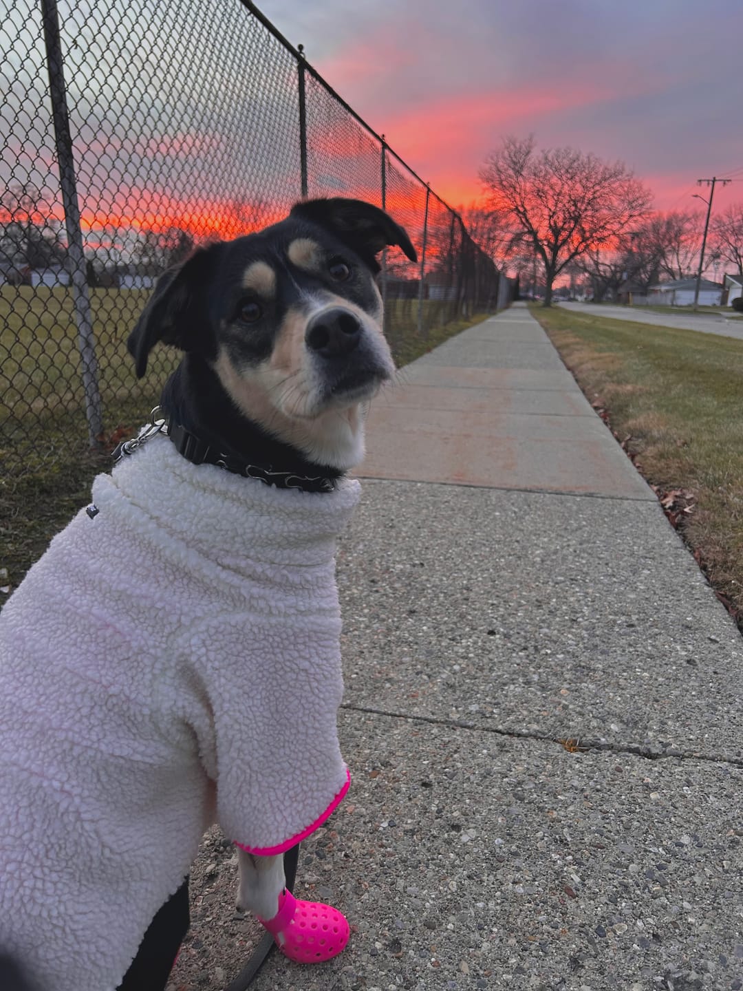 Customer photo review of Monkey Fleece Jacket