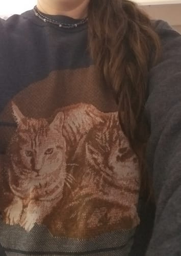 Customer photo review of Full-Body Pet Custom Sweater