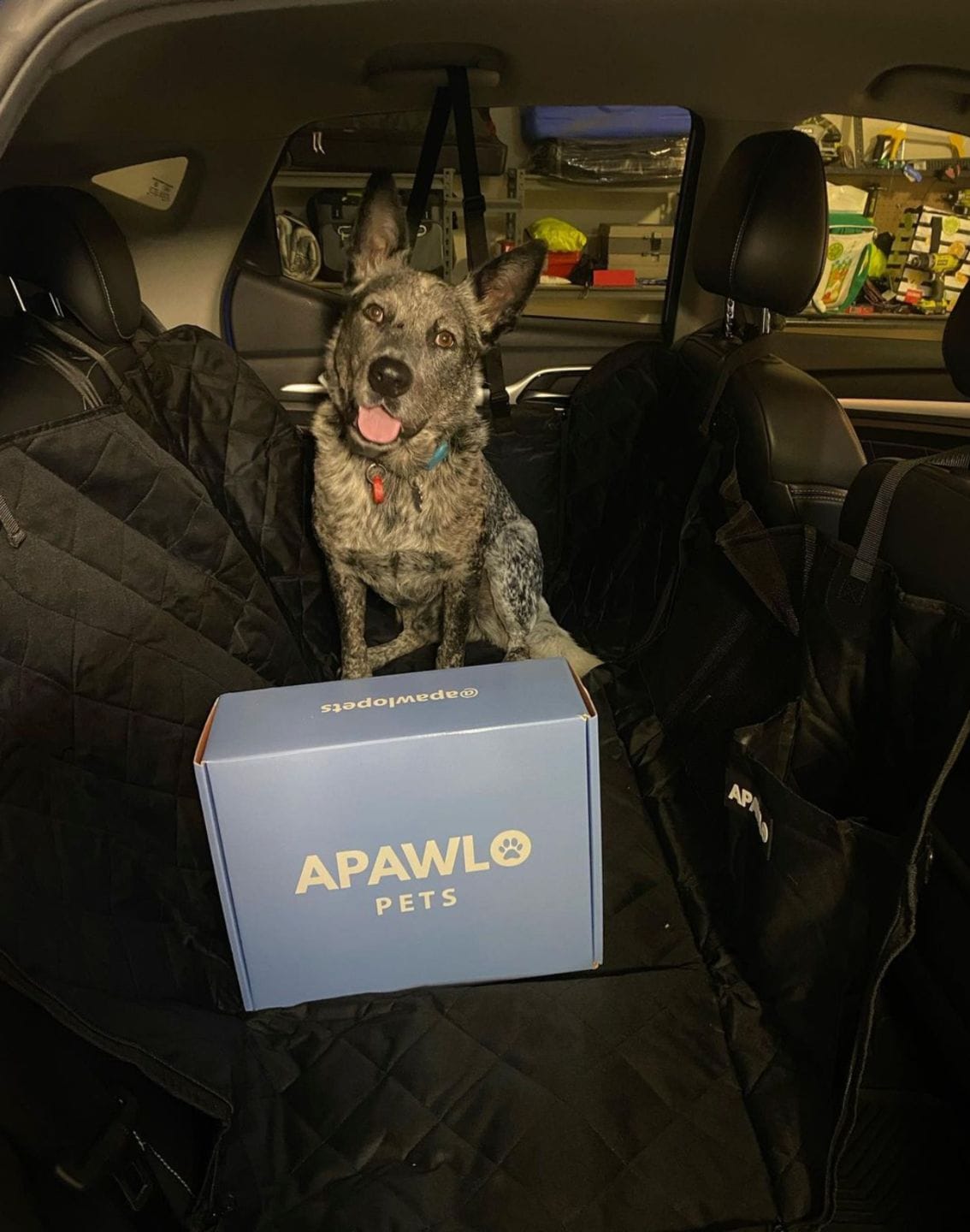 Customer photo review of 4-in-1 Dog Car Seat Cover