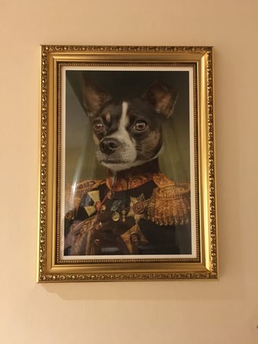 Customer photo review of The General - Custom Vintage Pet Portrait