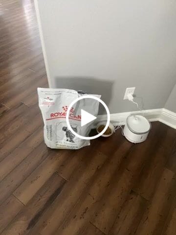 Customer video review of Royal Canin Veterinary Diet - Urinary SO + Calm Dry Cat Food