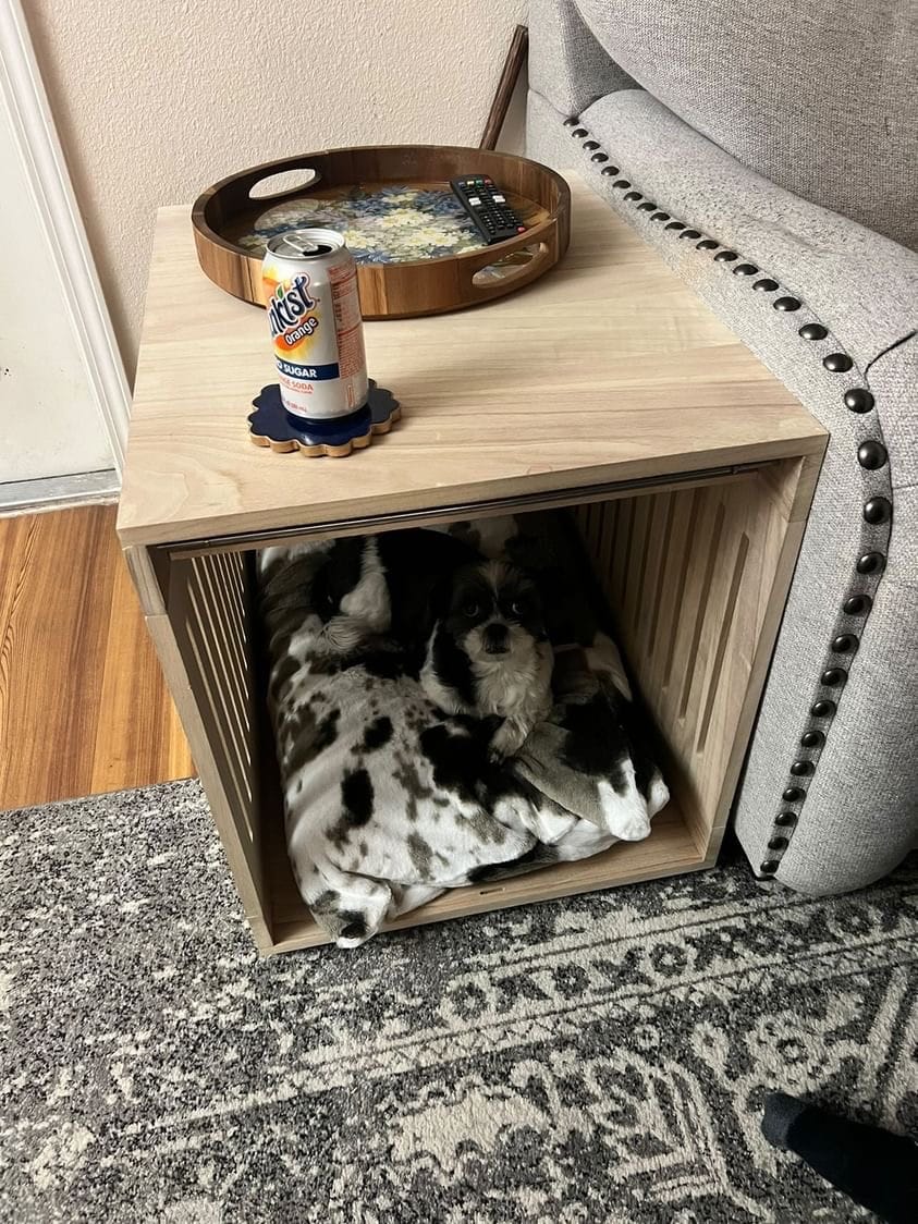 Customer photo review of Dog Crate