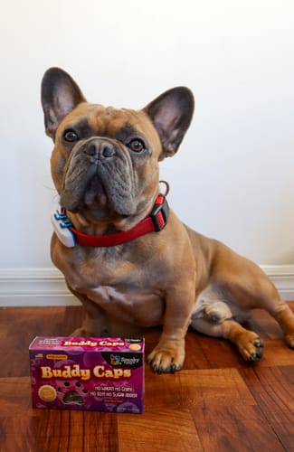 Customer photo review of Boxed "Candy" Treats
