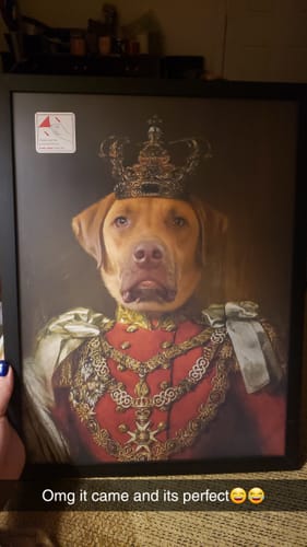 Customer photo review of The Prince - Custom Vintage Pet Portrait