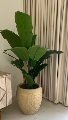 Customer photo review of Strelitzia Reginae Artificial Plant (Pot not included)