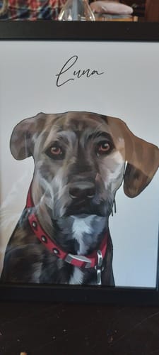 Customer photo review of Πορτραίτο Κατοικίδιου - Πόστερ με κάδρο