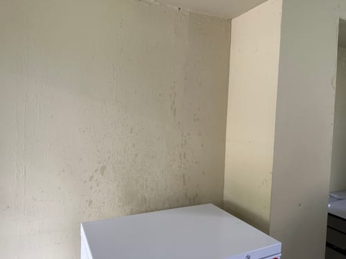 Customer photo review of Sense Coffee Cup