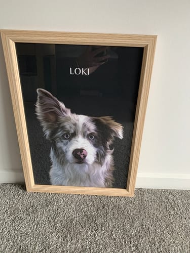 Customer photo review of One-Pet Portrait